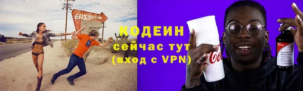 прущие грибы Надым