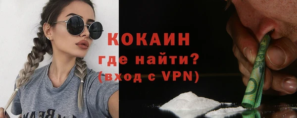 прущие грибы Надым