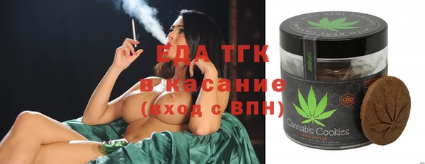 прущие грибы Надым
