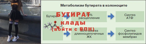 прущие грибы Надым