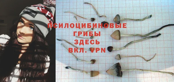 стафф Нея