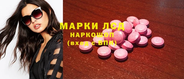 прущие грибы Надым