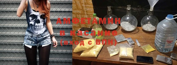 прущие грибы Надым
