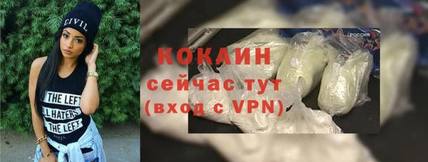 прущие грибы Надым