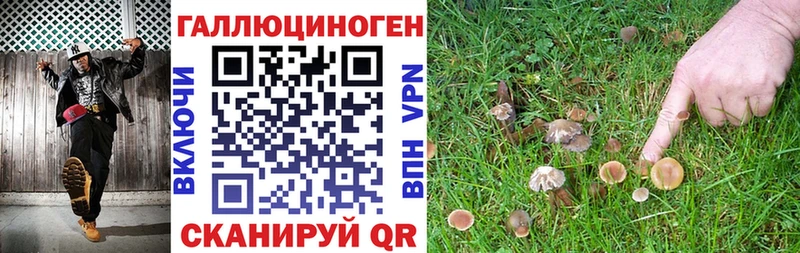 omg как войти  Саранск  площадка формула  где можно купить наркотик  Псилоцибиновые грибы Cubensis 