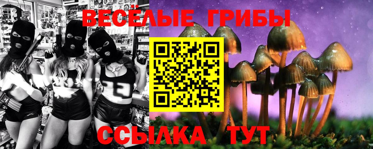 Псилоцибиновые грибы мицелий Саранск